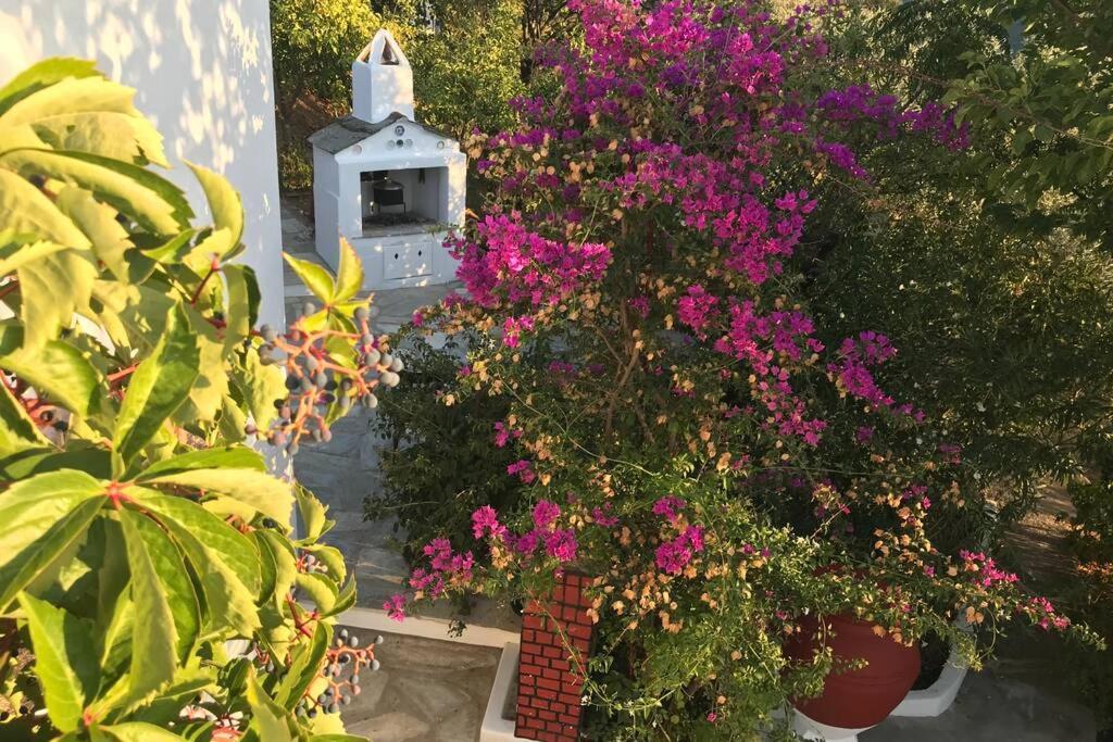 スコペロス Παναής & Μαρία / Panais & Mariaヴィラ エクステリア 写真